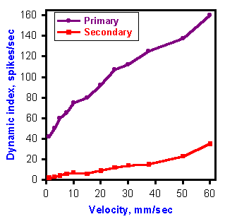 Dynamic index plot