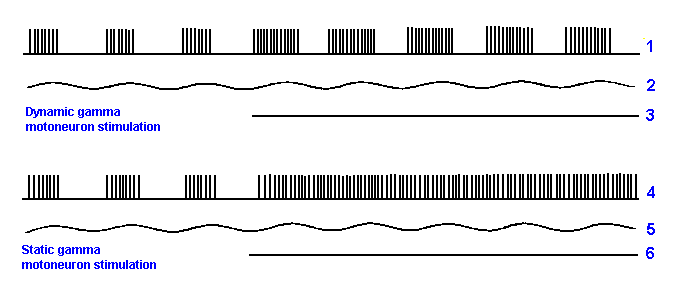 Spindle response to vibration