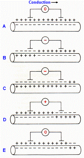 f12-2.gif