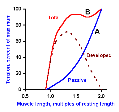 l-tc.gif