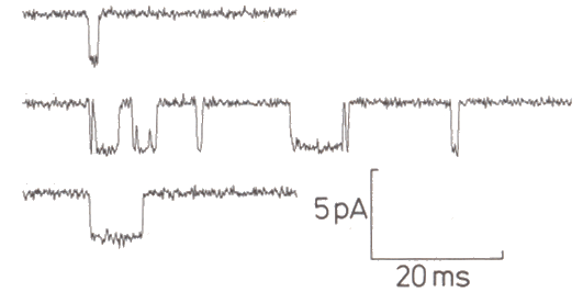 Sample channel activity