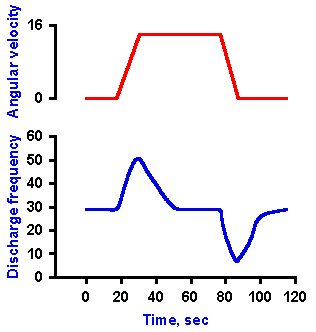 Cell discharge