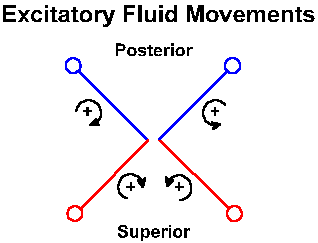 Head rotation and canal excitation